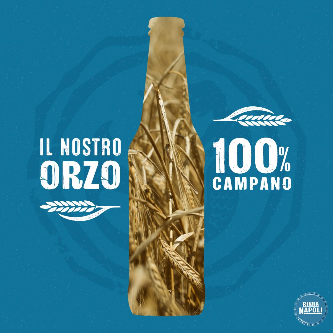 Birra Napoli orzo
